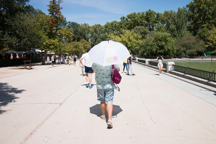 Retiro Park Walking Tour: 90-Minute Guided Stroll Through Madrid's Green Heart photo 5