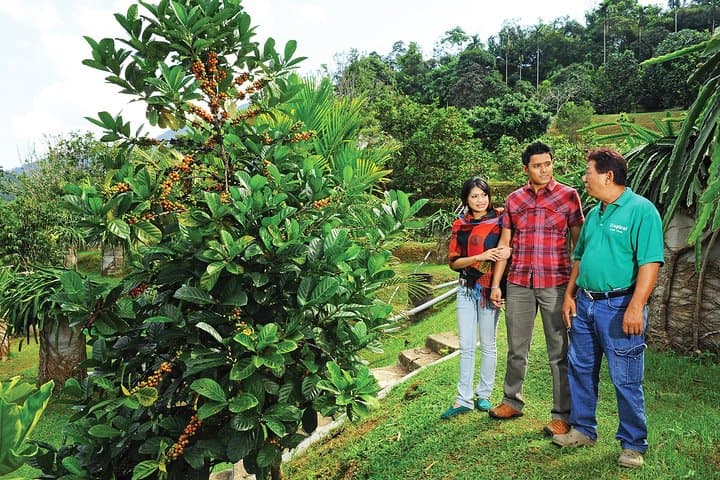Penang Tropical Fruit Farm Tour: Fruit Tasting & Farm Experience in Teluk Bahang photo 2