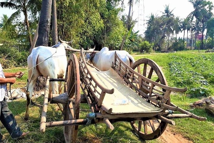 Siem Reap Ox-Cart Village Journey & Private Monk Blessing