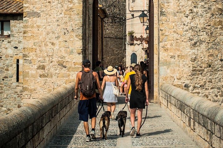 Medieval Villages Day Trip from Barcelona: Besalú, Rupit & Tavertet photo 2