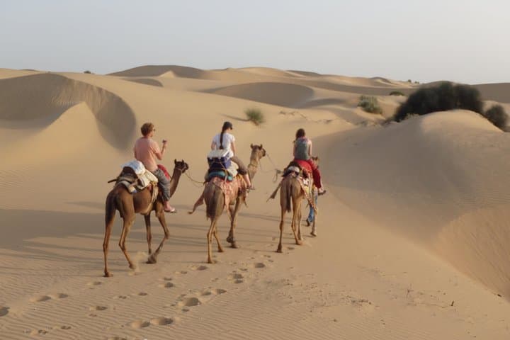 Shahi Overnight Camel Safari in Jaisalmer — Non-Touristic Sand Dune Camp photo 3