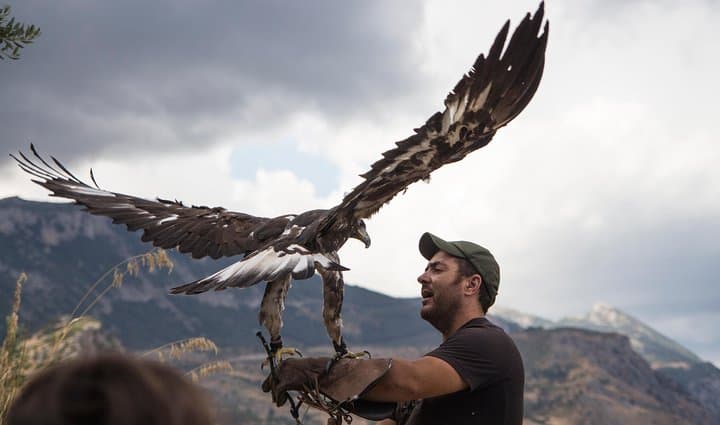 Civita & Pollino Raptors Day: Raganello Gorges, Devil's Bridge and Griffon Vantage