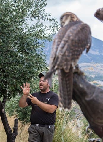 Civita & Pollino Raptors Day: Raganello Gorges, Devil's Bridge and Griffon Vantage photo 3