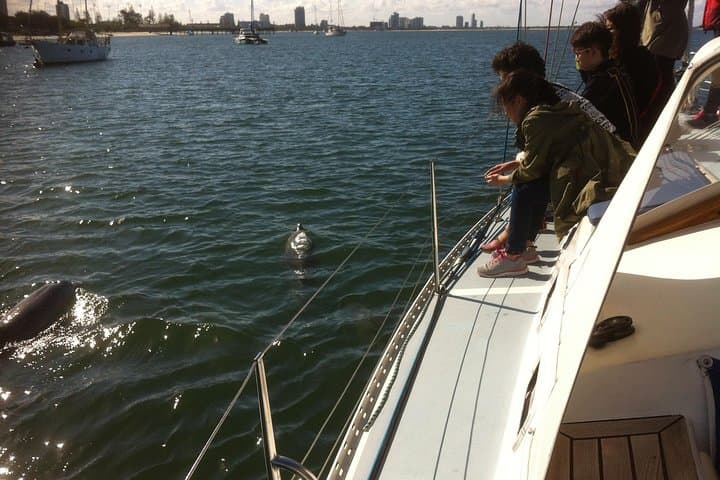 Midday Gold Coast Sailing Cruise with Sparkling Wine and Nibbles photo 2