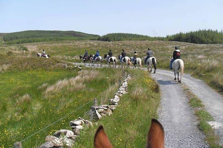 Mountain Trail Horseback Ride near Lisdoonvarna — 2-Hour Guided Trek