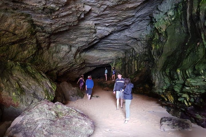 Great Ocean Road Full Day Private Private Experience: 12 Apostles, Otways & Coastal Wildlife photo 3