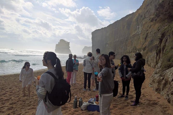 Great Ocean Road Full Day Private Private Experience: 12 Apostles, Otways & Coastal Wildlife photo 4