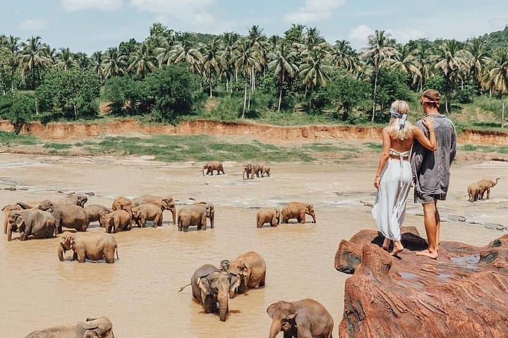 Glimpse of Culture: 3-Day Sri Lanka Heritage Tour to Sigiriya, Dambulla & Kandy photo 4