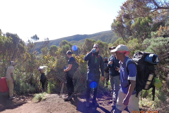 Kilimanjaro Lemosho Route: 8-Day Guided Trek to Uhuru Peak photo 2