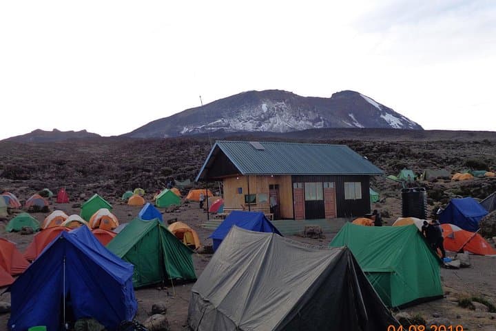 Kilimanjaro Lemosho Route: 8-Day Guided Trek to Uhuru Peak photo 3