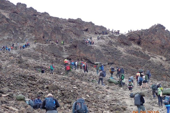 Kilimanjaro Lemosho Route: 8-Day Guided Trek to Uhuru Peak photo 4