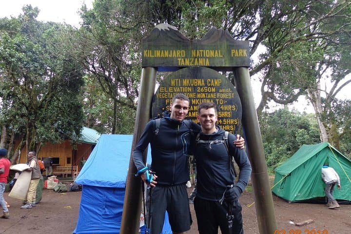Kilimanjaro Lemosho Route: 8-Day Guided Trek to Uhuru Peak photo 6