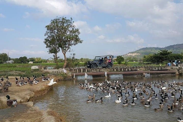 Nha Trang Highlights: Jeep Tour to Pagodas, Villages & Po Nagar photo 2