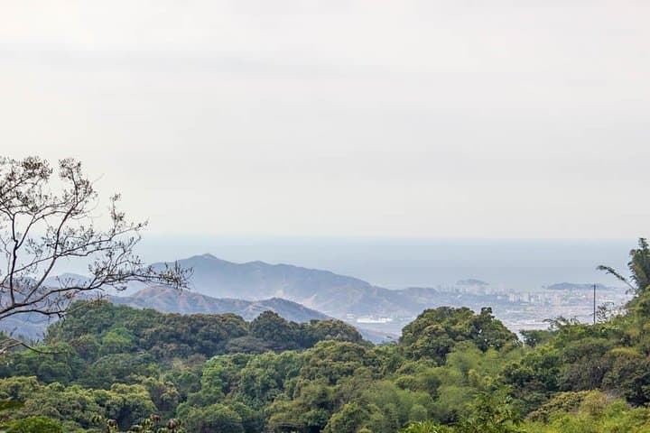 Minca Day Trip: Coffee Farm Visit & Waterfalls from Santa Marta photo 2