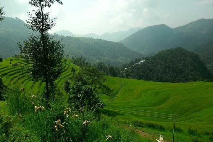6-Day Panoramic Yoga Trek: Chisapani to Nagarkot & Dhulikhel Himalayan Hike photo 5