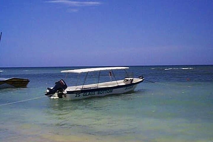 Double Reef Snorkel in Montego Bay: Private Reef Tour with Parasail Option photo 4