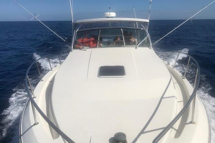 Double Reef Snorkel in Montego Bay: Private Reef Tour with Parasail Option photo 3