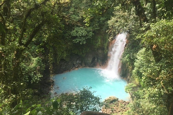 Rio Celeste Hike: Tenorio National Park's Light-Blue River & Waterfall