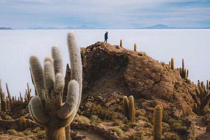 Salar de Uyuni Day Tour — Incahuasi Island & Sunset 4x4 Small-Group Experience photo 1