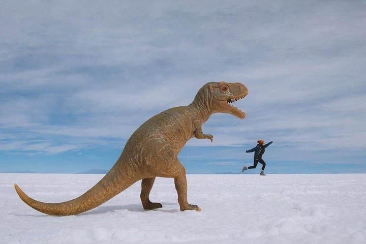 Salar de Uyuni Day Tour — Incahuasi Island & Sunset 4x4 Small-Group Experience photo 2