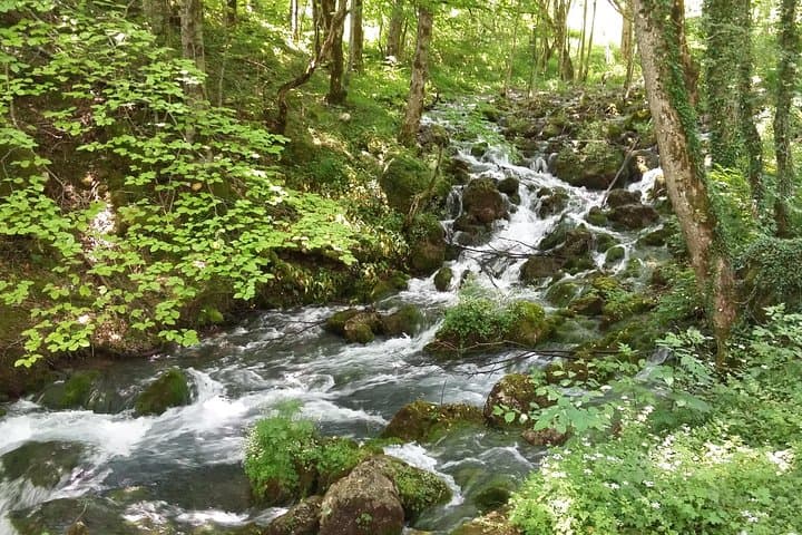 Moraca, Tara & Piva Canyons with Durmitor National Park — Day Tour from Budva photo 4