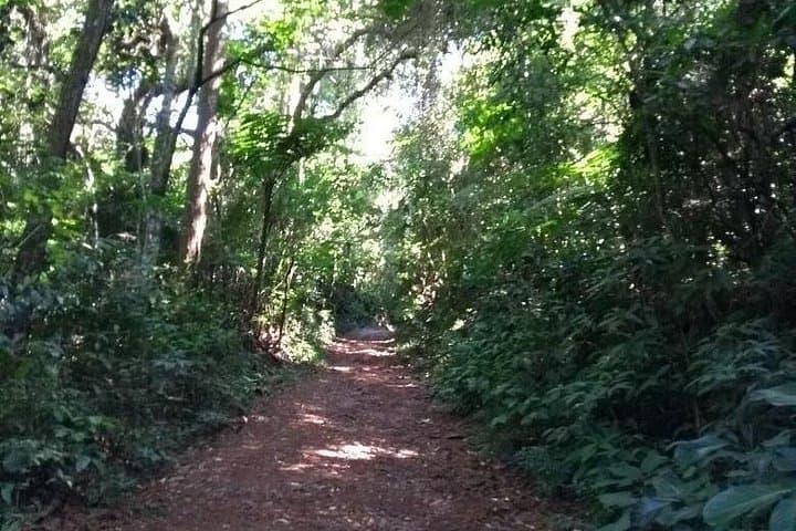 Hiking Cantareira Natural Park: Waterfalls, Pedra Grande & Historic Pump House photo 4