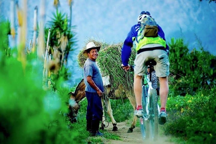 Sip n' Cycle: Antigua Coffee Farm Mountain Bike Tour