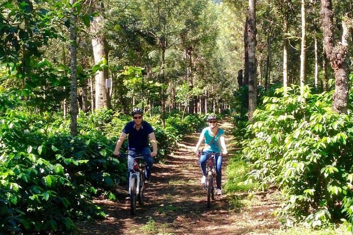 Sip n' Cycle: Antigua Coffee Farm Mountain Bike Tour photo 2