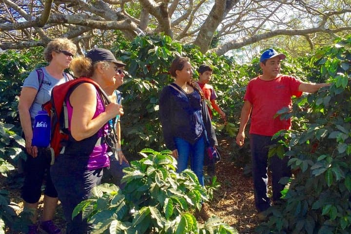 Sip n' Cycle: Antigua Coffee Farm Mountain Bike Tour photo 3