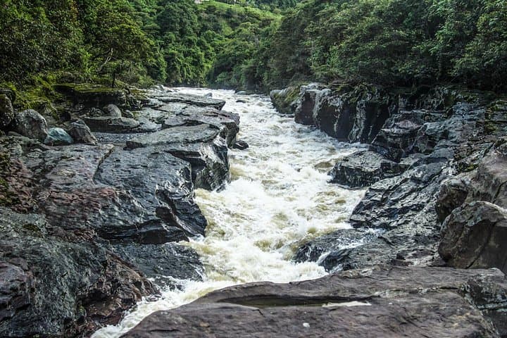 3-Day San Agustín Archaeological Park Adventure from Bogotá: Ruins, Waterfalls & Coffee Trails photo 6