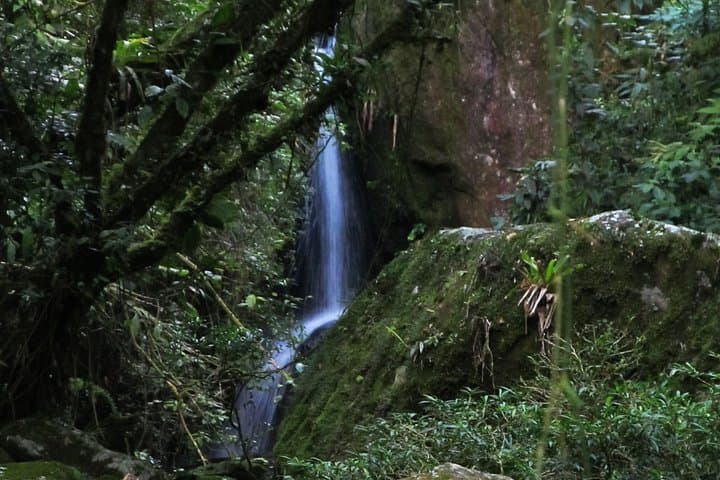 Serra dos Orgaos EcoTour: Waterfalls, Trails & Historic Sights near Rio de Janeiro photo 4