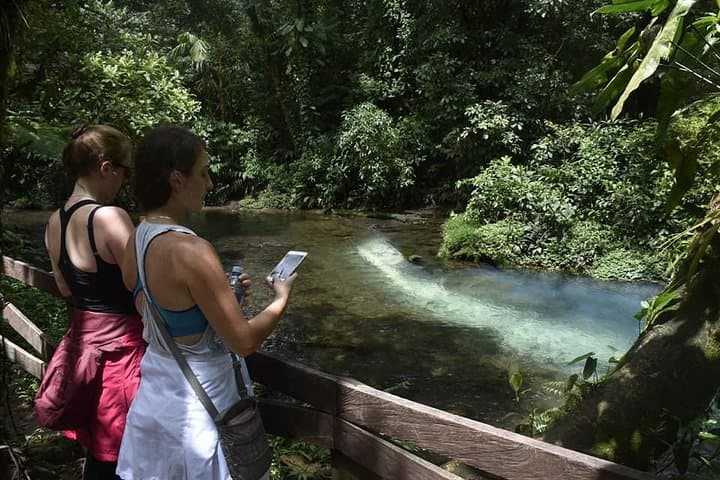 Rio Celeste Waterfall Day Hike — Tenorio Volcano National Park photo 2