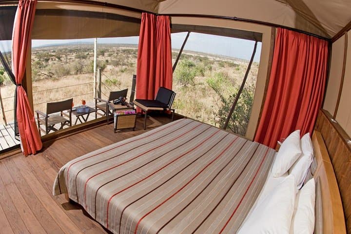 Masai Mara By Air: 2-Day Safari from Mombasa with Morning and Afternoon Game Drives