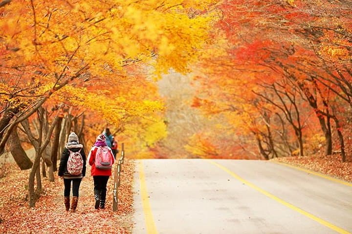 10-Day Autumn Tour: Jeonju, Naejangsan, Seorak, Jeju & Busan (Early November)