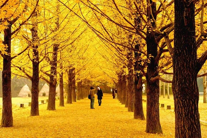 10-Day Autumn Tour: Jeonju, Naejangsan, Seorak, Jeju & Busan (Early November) photo 5