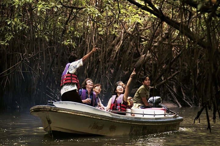Langkawi Mangrove & Limestone Boat Tour — Kilim River, Bat Cave & Ray Feeding