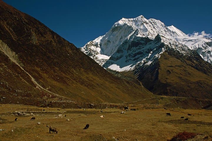 Tsum Valley Trek: Hidden Valley of Manaslu — Remote High-Altitude Trek photo 3