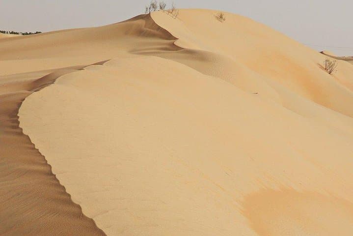 Liwa Self-Drive 4x4: Conquer the Rub Al Khali (Empty Quarter) Dunes from Abu Dhabi photo 5