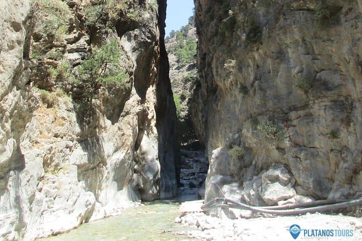 Samaria Gorge Full-Day Trek from Rethymno — Guided Hike Through Europe’s Longest Gorge photo 5