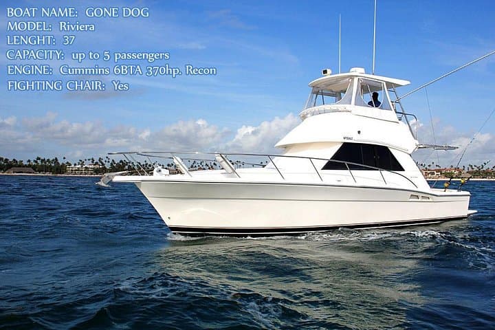 Big-Game Fishing Off Punta Cana: Marlin, Sailfish & Tuna on a Private Charter photo 1