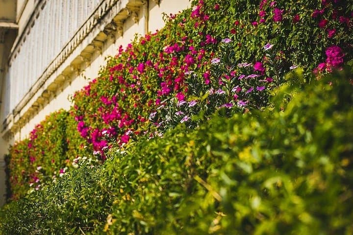Custom Full-Day Udaipur Tour: City Palace, Lake Pichola & Monsoon Palace photo 2