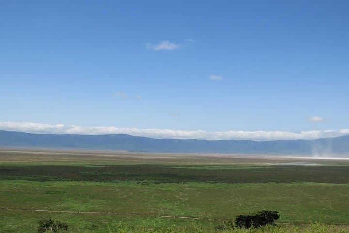 3-Day Tarangire Camping Safari from Moshi — Baobabs, Elephants & Night in the Bush photo 2