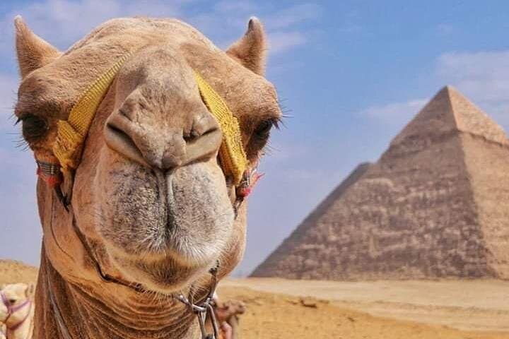 Sunset Camel Ride and Barbecue at the Giza Pyramids photo 2