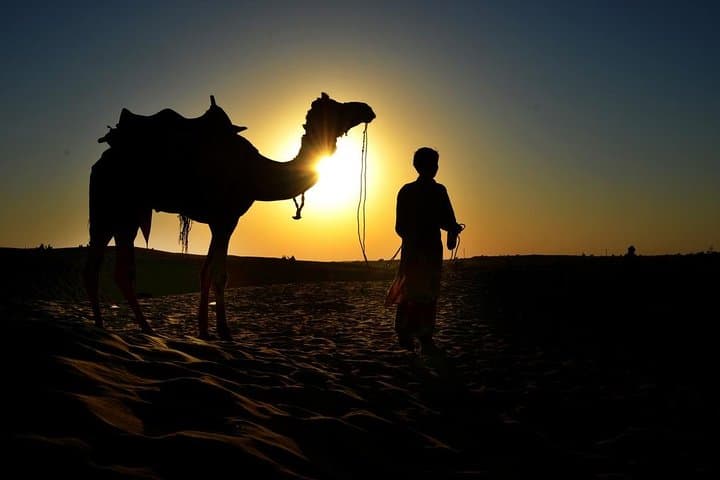 Sunset Camel Ride and Barbecue at the Giza Pyramids