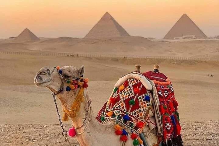 Sunset Camel Ride and BBQ at the Giza Pyramids — Evening Safari with Dinner