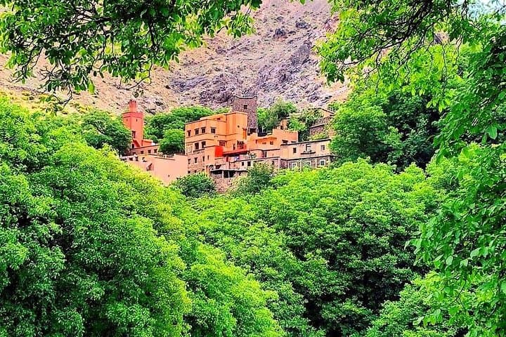 Ourika Valley & Atlas Mountains Private Day Trip from Marrakech photo 6