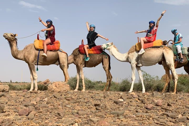 Atlas Mountains Three Valleys & Waterfalls Day Trip from Marrakech photo 5