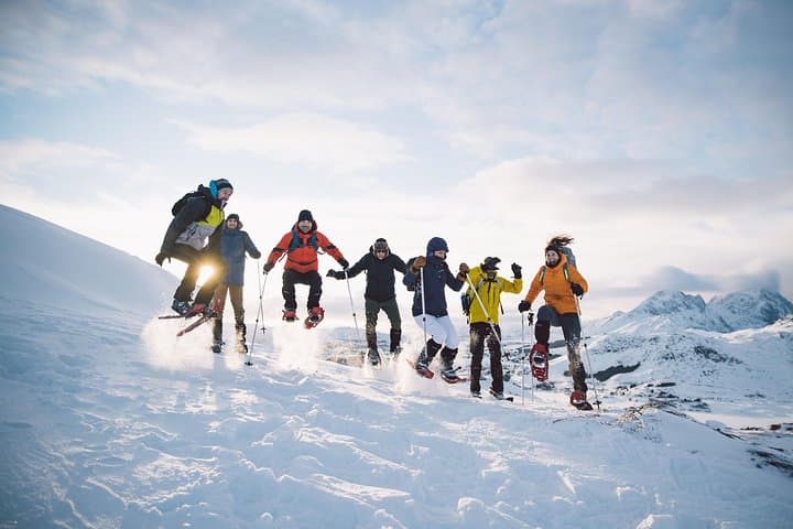 Half-Day Snowshoe Tour on Lofoten: Winter Peaks, Frozen Coastlines, and Local Stories