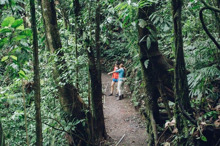 Arenal Sky Walk: Hanging Bridges, Waterfalls & Rainforest Guide photo 2