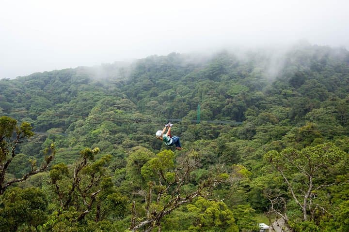 Sky Tram and Sky Trek Monteverde Cloud Forest Zipline Adventure photo 5